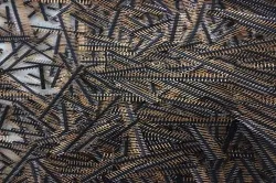 აღდგენა ძვირფასი ლითონის დახვეწის ვერცხლის ოქროს საფარი Stripping 08